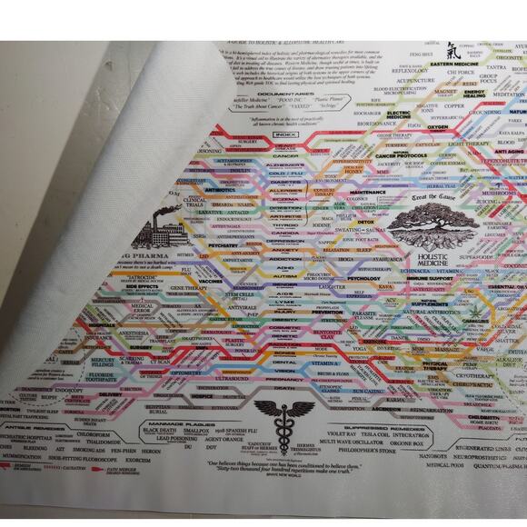 Big Pharma vs. Holistic Medicine Canvas Print – Conspiracy Infographic (18x12") - Picture 4 of 4